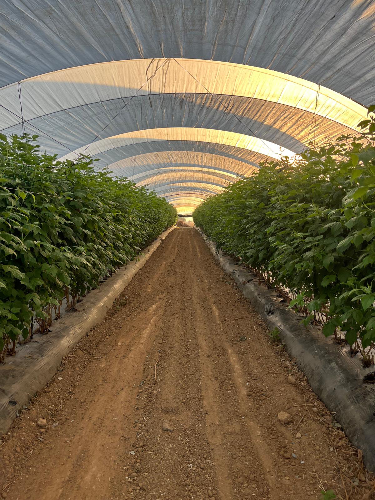 Diseño de instalaciones